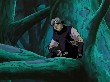 CNNaruto 035CN(233)Naruto 033 AnimeZz.info(1).jpg